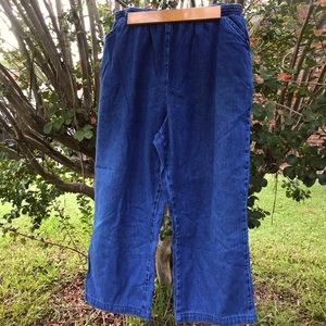 Stretchy Waist Vintage Plus Size Jeans 20W Petite